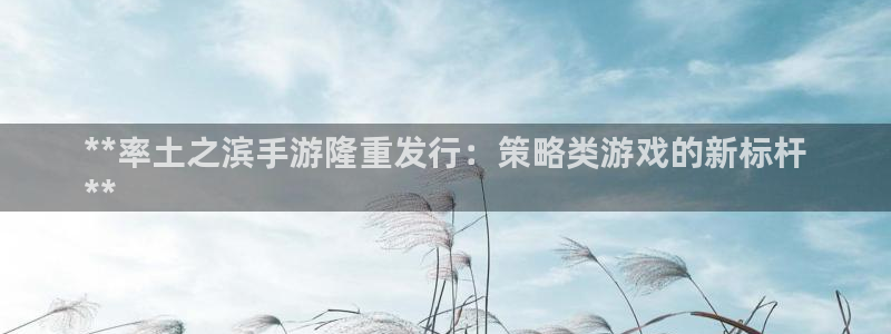 新航娱乐的创始人简介图片：**率土之滨手游隆重发行：策略类游戏的新标杆
**