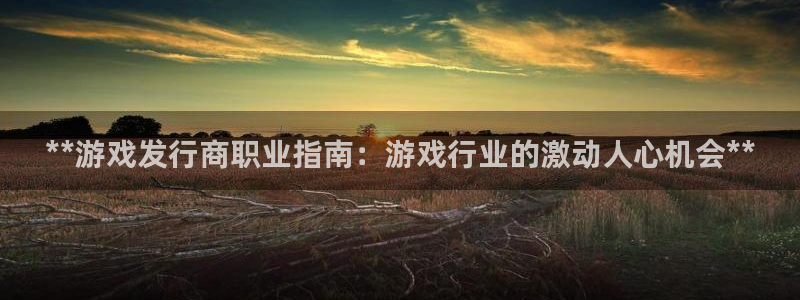 新航娱乐app最新版本更新内容在哪看：**游戏发行商职业指南：游戏行业的激动人心机会**