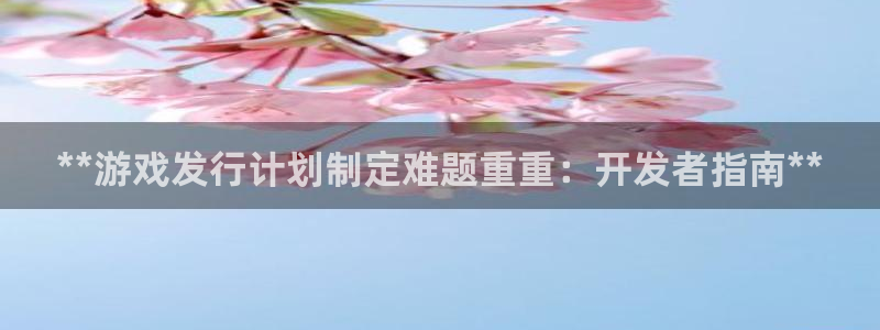 新航娱乐APP的最新版本更新内容：**游戏发行计划制定难题重重：开发者指南**