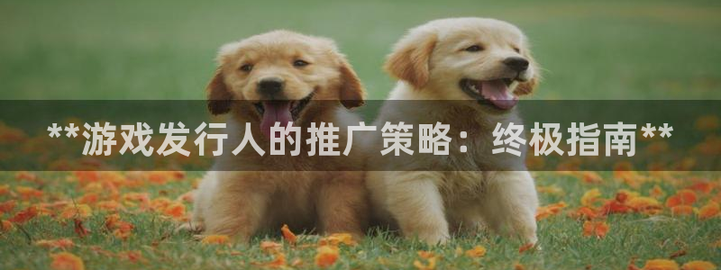 新航娱乐app最新版本更新内容是什么