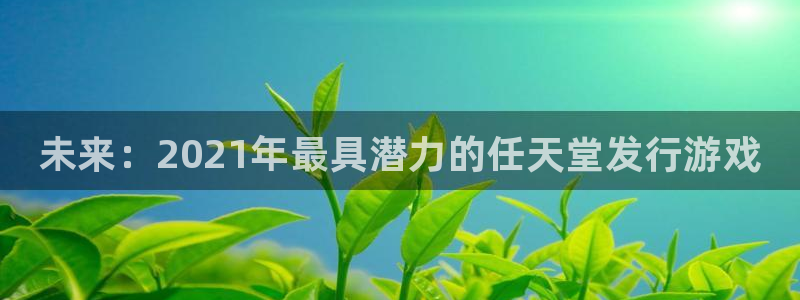 新航娱乐旗下平台有哪些：未来：2021年最具潜力的任天堂发行游戏