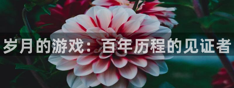 新航娱乐扣款后还能重新扣费吗怎么办：岁月的游戏：百年历程的见证者