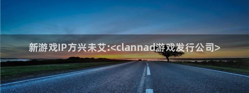 新航娱乐最新消息：新游戏IP方兴未艾:<clannad游戏发行公司>