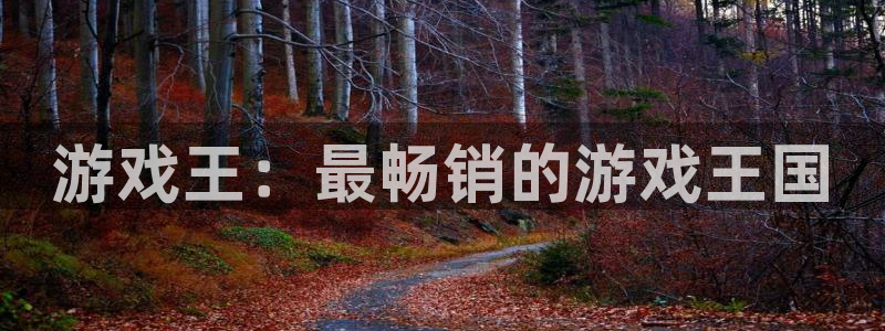 新航娱乐的会员权益与保障是什么：游戏王：最畅销的游戏王国