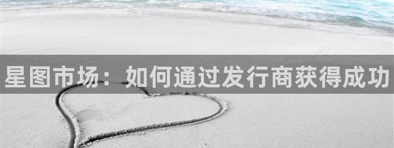 新航娱乐app手机版特色功能介绍：星图市场：如何通过发行商获得成功