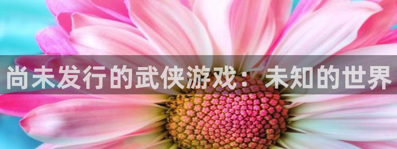 新航娱乐公司简介和历史背景介绍：尚未发行的武侠游戏：未知的世界
