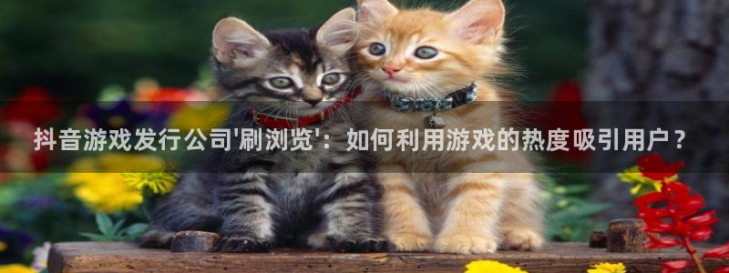 新航娱乐的创始人简介是谁：抖音游戏发行公司\'刷浏览\'：如何利用游戏的热度吸引用户？