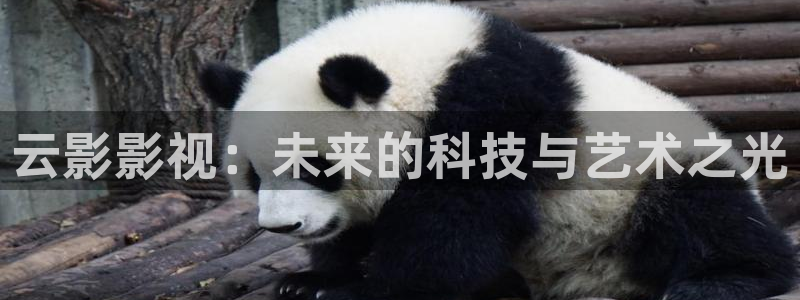 樱桃在线影院：云影影视：未来的科技与艺术之光