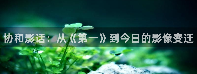 樱桃红视频在线观看免费：协和影话：从《第一》到今日的影像变迁