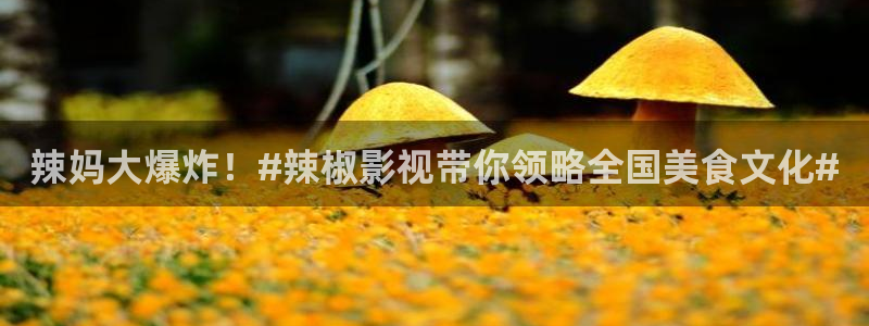 色樱桃影院：辣妈大爆炸！#辣椒影视带你领略全国美食文化#