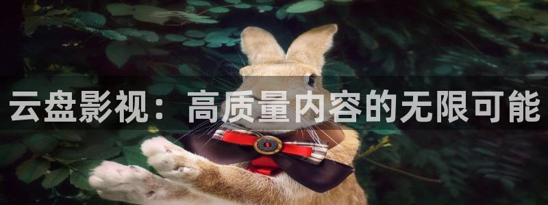 樱桃国产视频：云盘影视：高质量内容的无限可能